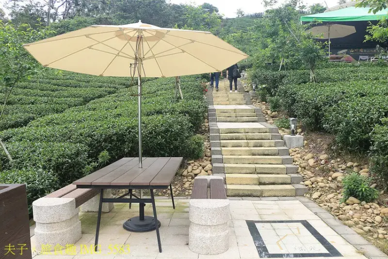 竹山山坪頂七星步道 南投觀光品茶新亮點 與茶園零距離的接觸