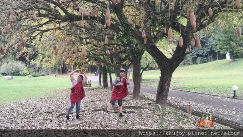 泰雅渡假村 | 🏹守護木3島🌈勇士試煉之旅!! 二日遊的行程
