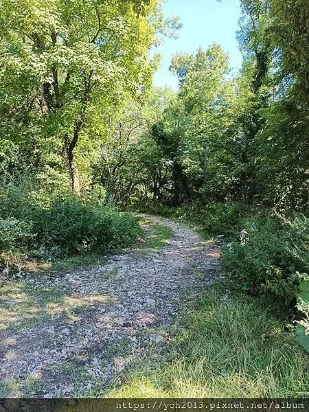 布拉索上山纜車站旁午餐／餐後搭纜車上山賞景 Brasov l