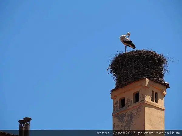 普雷穆爾防禦性教堂Fortified churdh of P