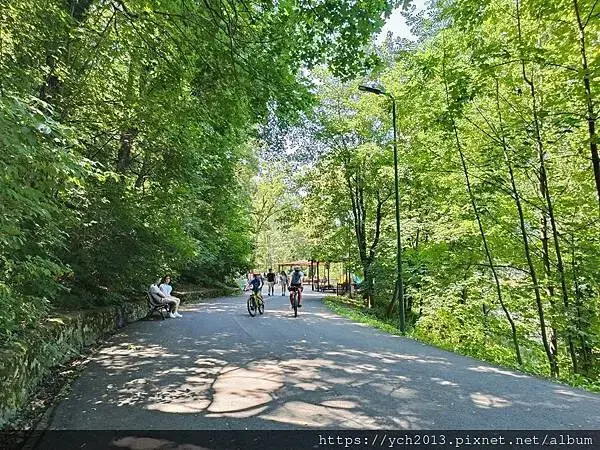 布拉索上山纜車站旁午餐／餐後搭纜車上山賞景 Brasov l
