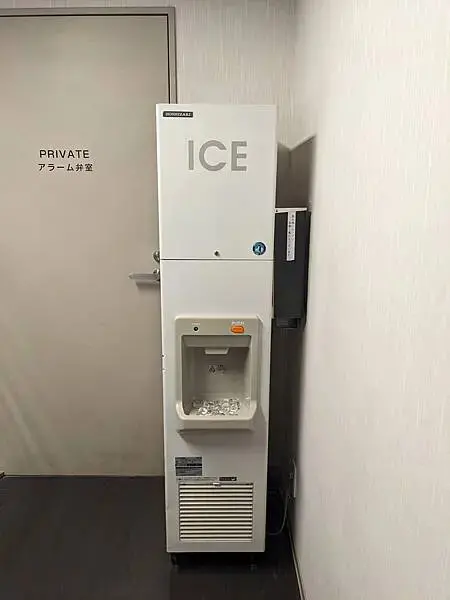 リッチモンドホテル(Richmond Hotel)成田