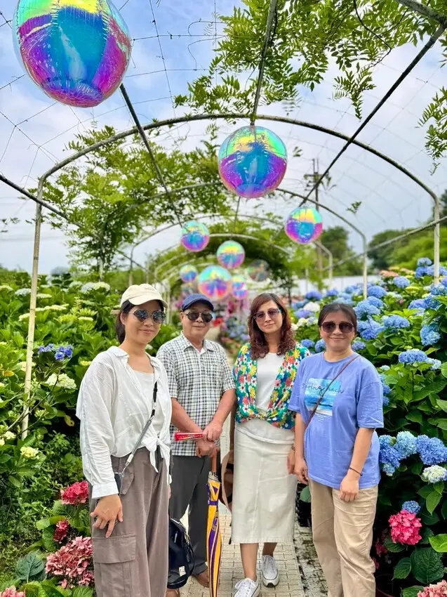 全台最大繡球花田【高家繡球花_萬里第三園區】有夢幻花海與造景
