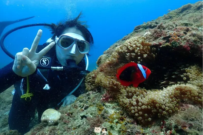 2025限時超優惠｜小琉球潛水推薦｜Hi Shock 潛水工