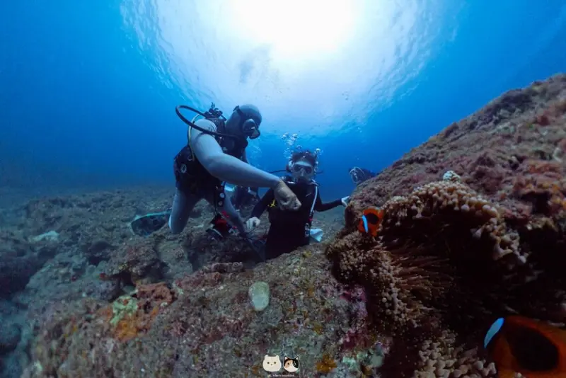 2025限時超優惠｜小琉球潛水推薦｜Hi Shock 潛水工