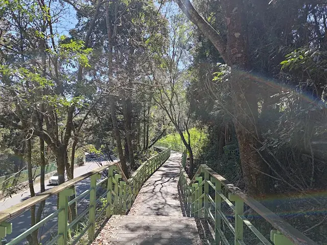 清境農場 (櫻花步道)