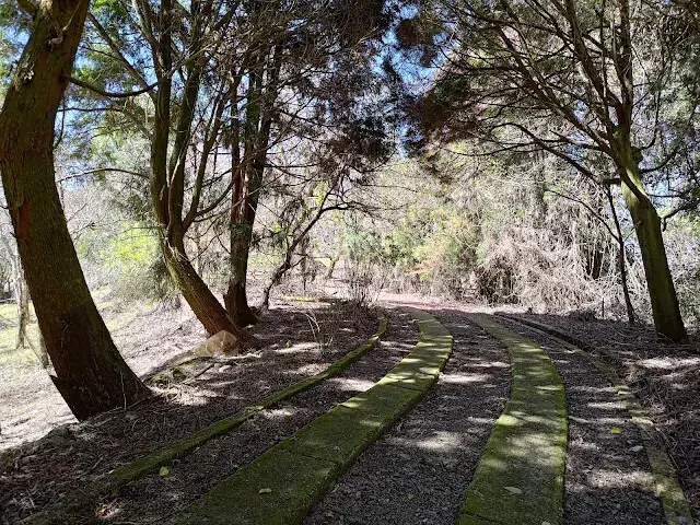 清境農場 (觀山牧區) - 壽山園