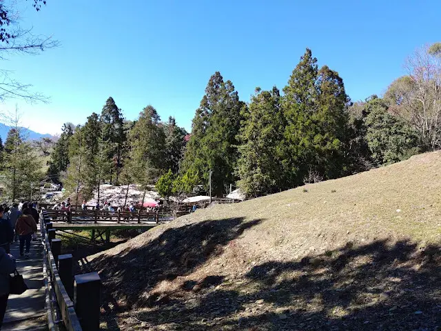 清境農場 (青青草原)