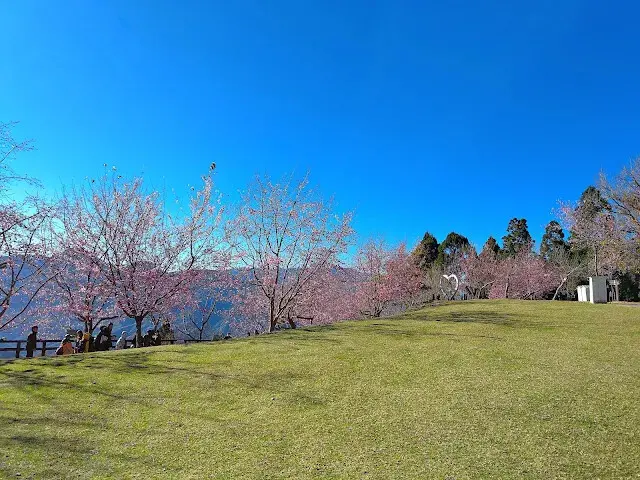 清境農場 (青青草原)