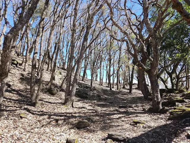 清境農場 (觀山牧區)