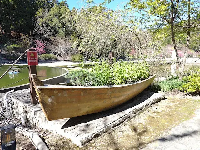 清境農場 (小瑞士花園) - 環湖步道
