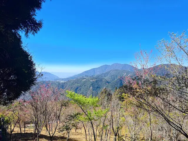 清境農場 (觀山牧區) - 中央山脈