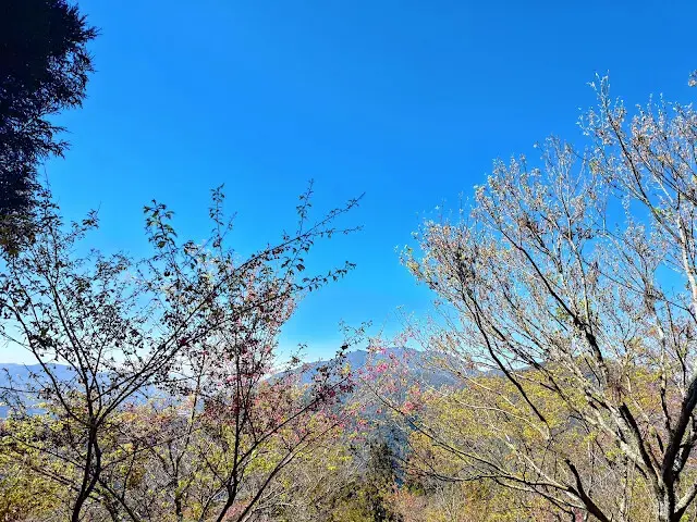 清境農場 (觀山牧區) - 中央山脈