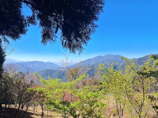 清境農場 (觀山牧區) - 中央山脈