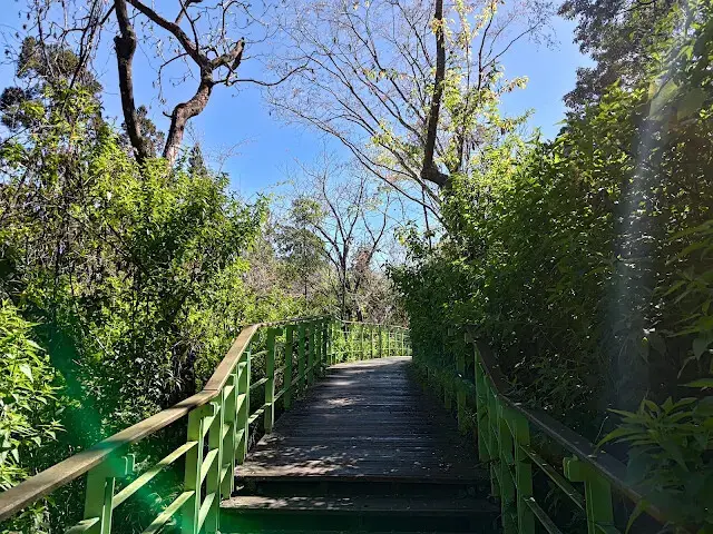 清境農場 (櫻花步道)