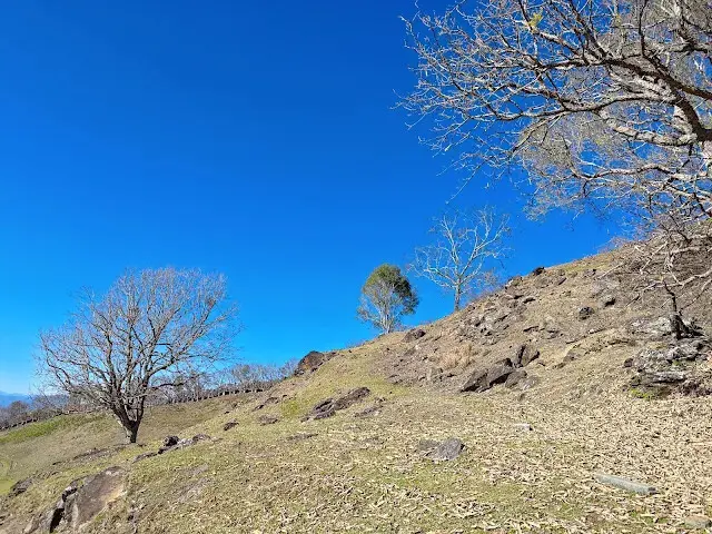 清境農場 (青青草原)