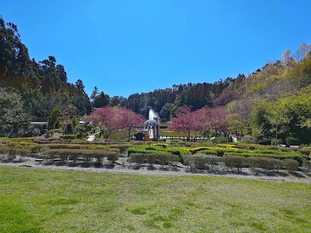 清境農場 (小瑞士花園) - 水舞秀