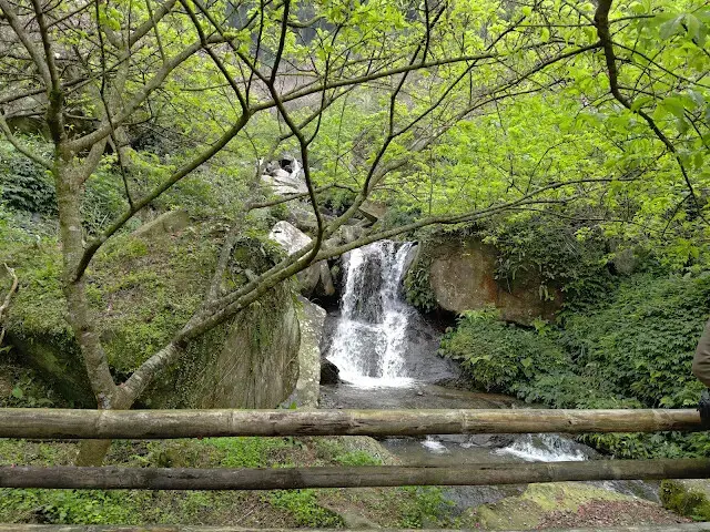 三峽大熊櫻花林 - 瀑布