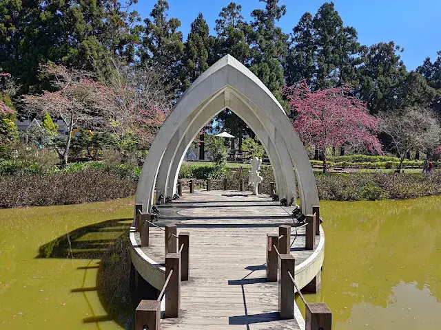 清境農場 (小瑞士花園) - 水上教堂 - 櫻花