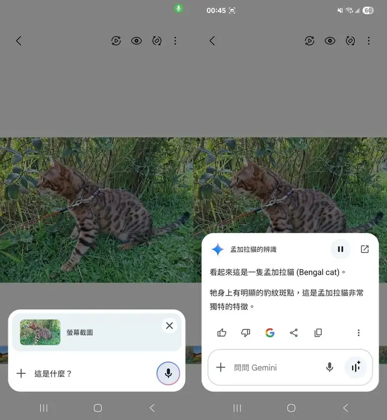 【開箱】Samsung Galaxy A56 5G，軟硬體升