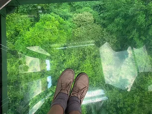 LINE_ALBUM_20220809貓空_220813_15