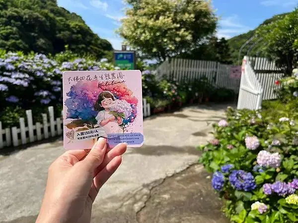 LINE_ALBUM_20240518陽明山繡球花_240522_128