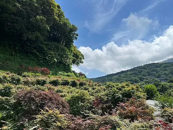 LINE_ALBUM_20240518陽明山繡球花_240522_43