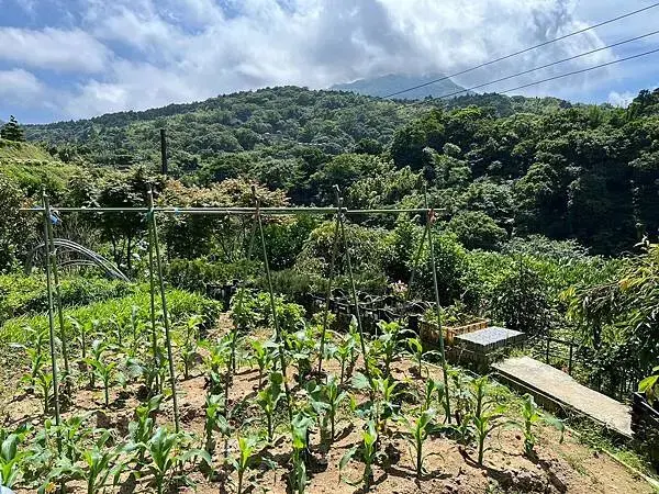 LINE_ALBUM_20240518陽明山繡球花_240522_50