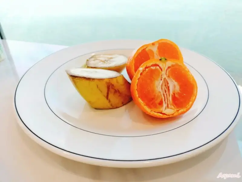 [韓國住宿推薦]2024全新開設的韓國始興市WAVEM HO