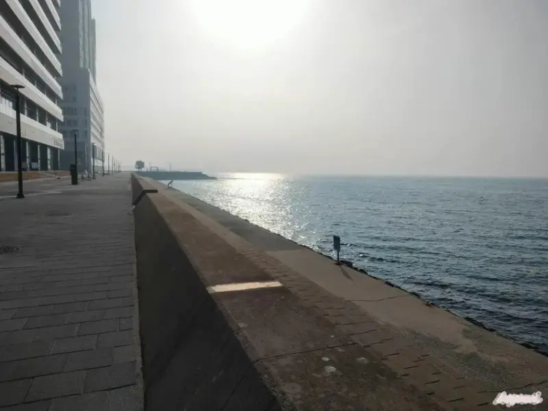 [韓國住宿推薦]2024全新開設的韓國始興市WAVEM HO