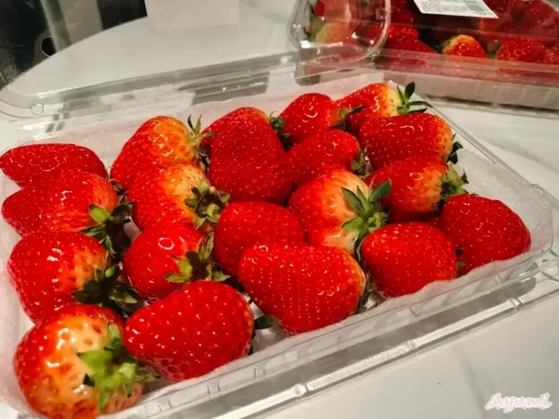 [韓國住宿推薦]2024全新開設的韓國始興市WAVEM HO