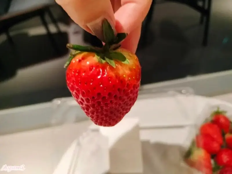 [韓國住宿推薦]2024全新開設的韓國始興市WAVEM HO