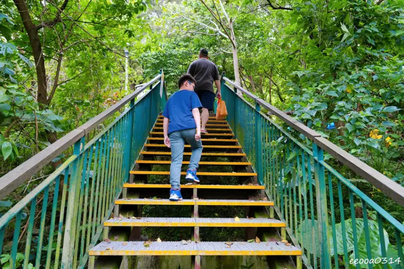 新北五股「水碓觀景公園」森林步道×賞景平台×看飛機! 台北近