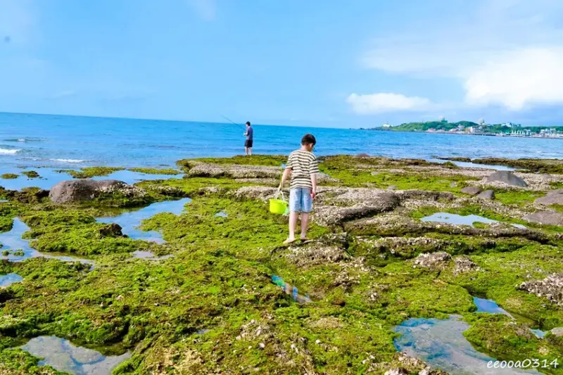 北海岸石門玩水一日遊｜免費探索潮間帶、抓螃蟹親子景點推薦!