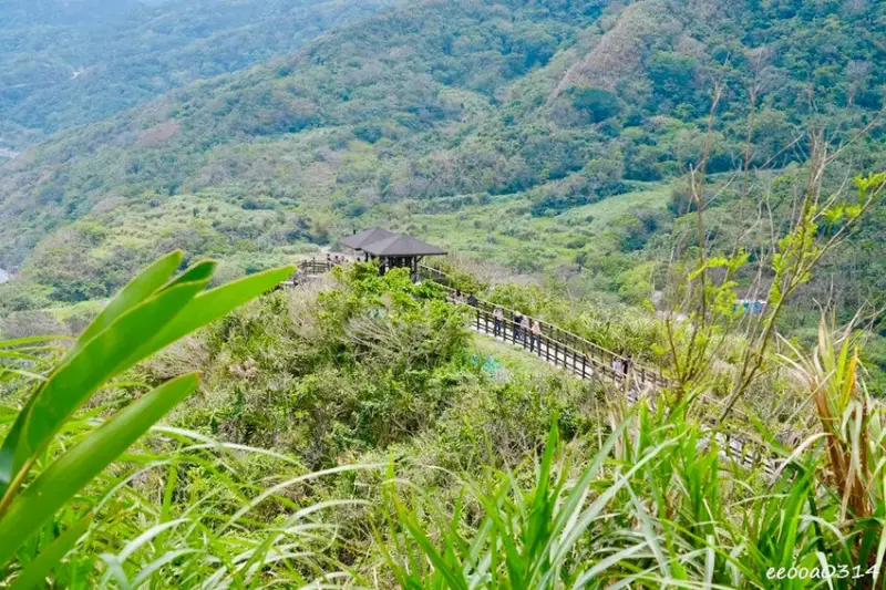 花蓮豐濱「大石鼻山步道」750公尺輕鬆走，親子也能輕鬆挑戰的