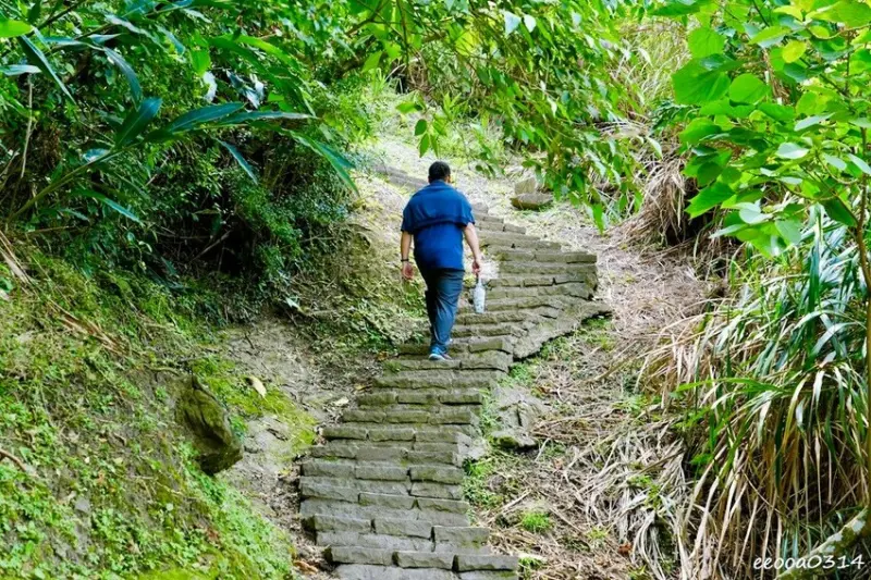 花蓮豐濱「大石鼻山步道」750公尺輕鬆走，親子也能輕鬆挑戰的