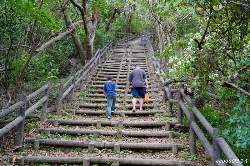 新北五股「水碓觀景公園」森林步道×賞景平台×看飛機! 台北近