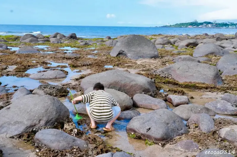 北海岸石門玩水一日遊｜免費探索潮間帶、抓螃蟹親子景點推薦!