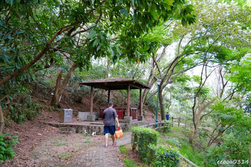 新北五股「水碓觀景公園」森林步道×賞景平台×看飛機! 台北近