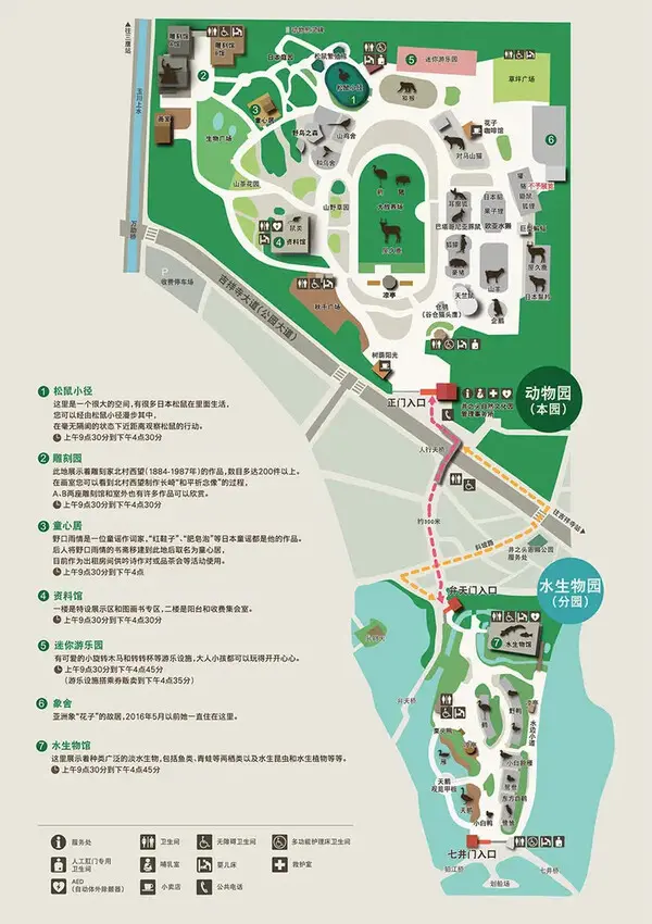 東京最療癒親子景點「井之頭自然文化園」動物園、松鼠小徑、迷你