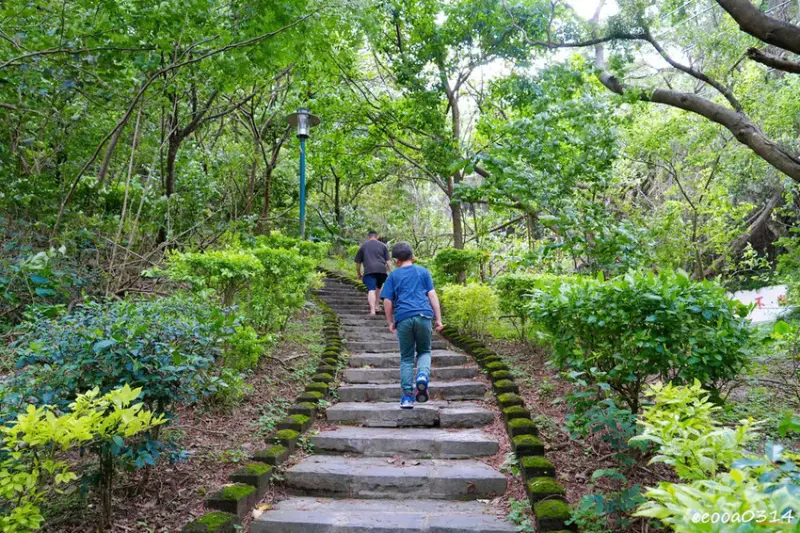 新北五股「水碓觀景公園」森林步道×賞景平台×看飛機! 台北近