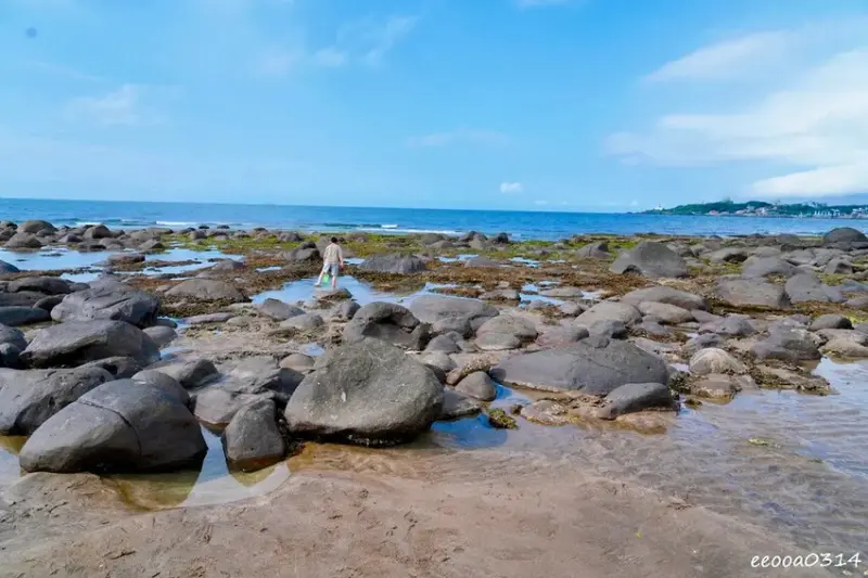 北海岸石門玩水一日遊｜免費探索潮間帶、抓螃蟹親子景點推薦!