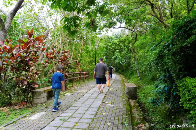 新北五股「水碓觀景公園」森林步道×賞景平台×看飛機! 台北近