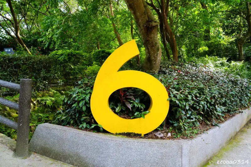 新北五股「水碓觀景公園」森林步道×賞景平台×看飛機! 台北近