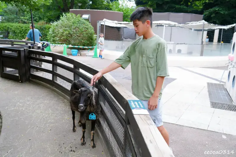 井之頭自然文化園-親子旅遊-松鼠之家.jpg