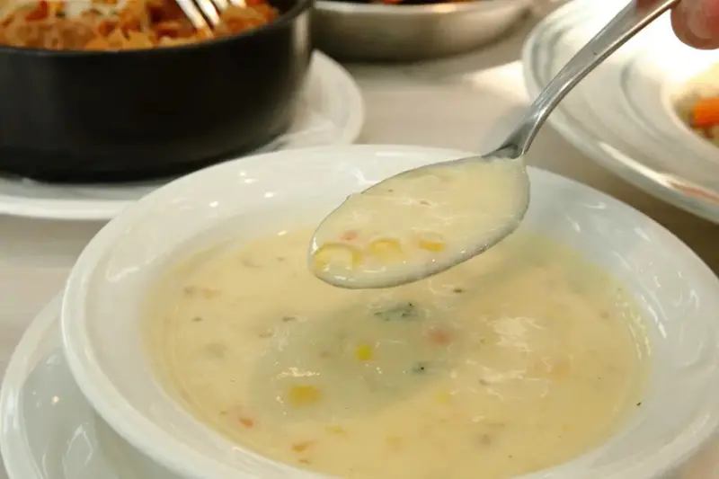 2025嘉義網美景點推薦！蓋婭莊園x康倪時代美學生技園區，全