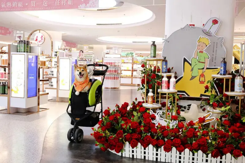 2025嘉義網美景點推薦！蓋婭莊園x康倪時代美學生技園區，全