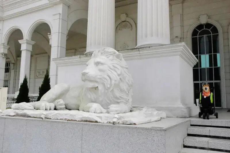 2025嘉義網美景點推薦！蓋婭莊園x康倪時代美學生技園區，全