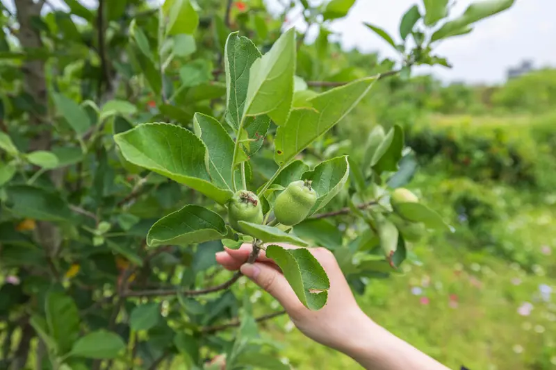2025台中親子景點推薦-人間食解生態園養生坊