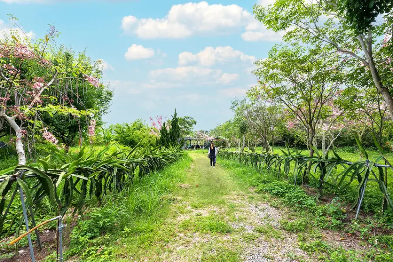2025台中親子景點推薦-人間食解生態園養生坊